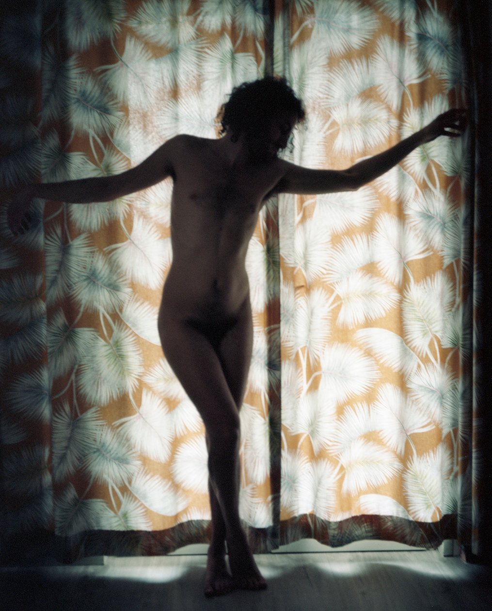 Nicolas Leroy | Rideau aux palmes