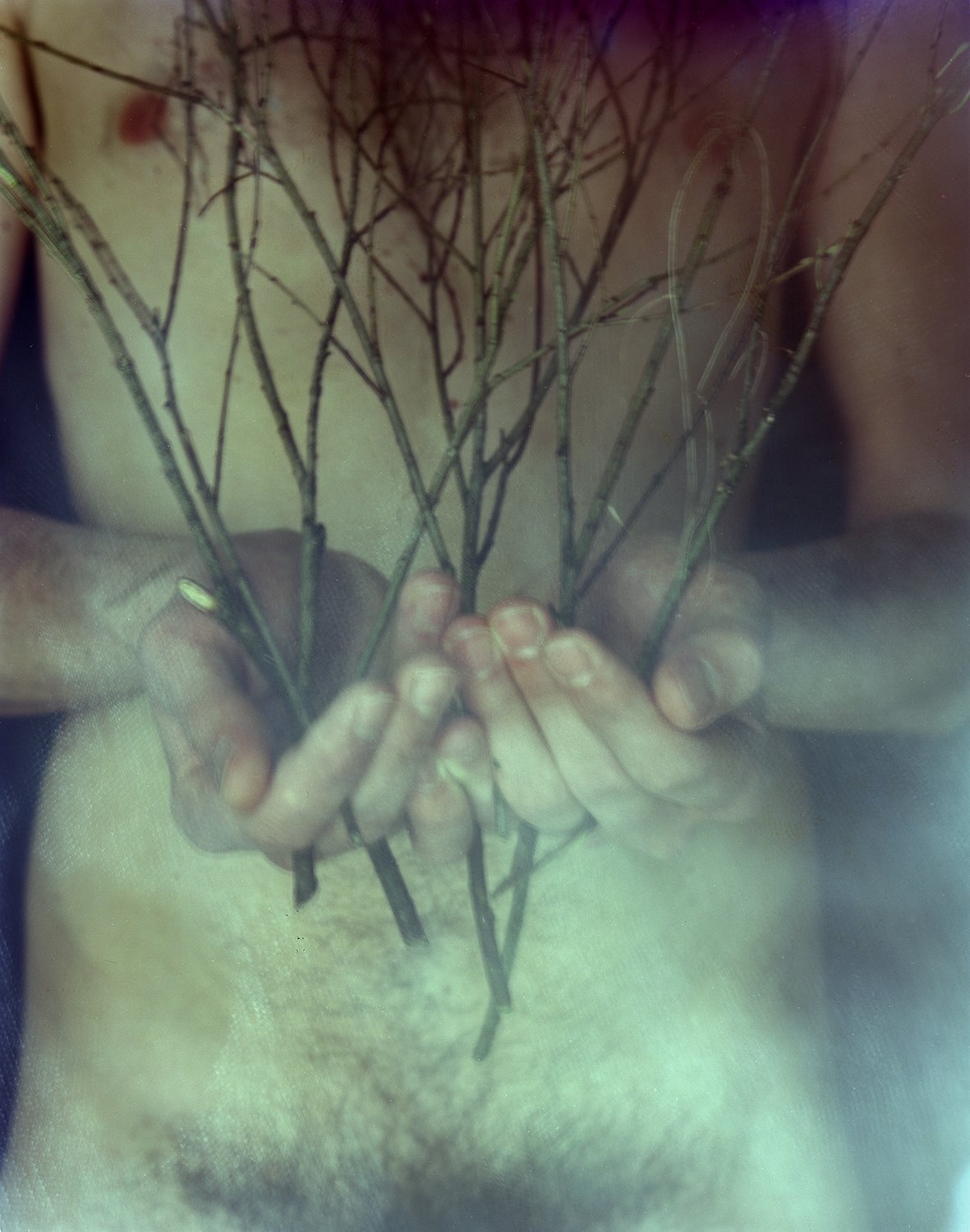 Nicolas Leroy | Le printemps