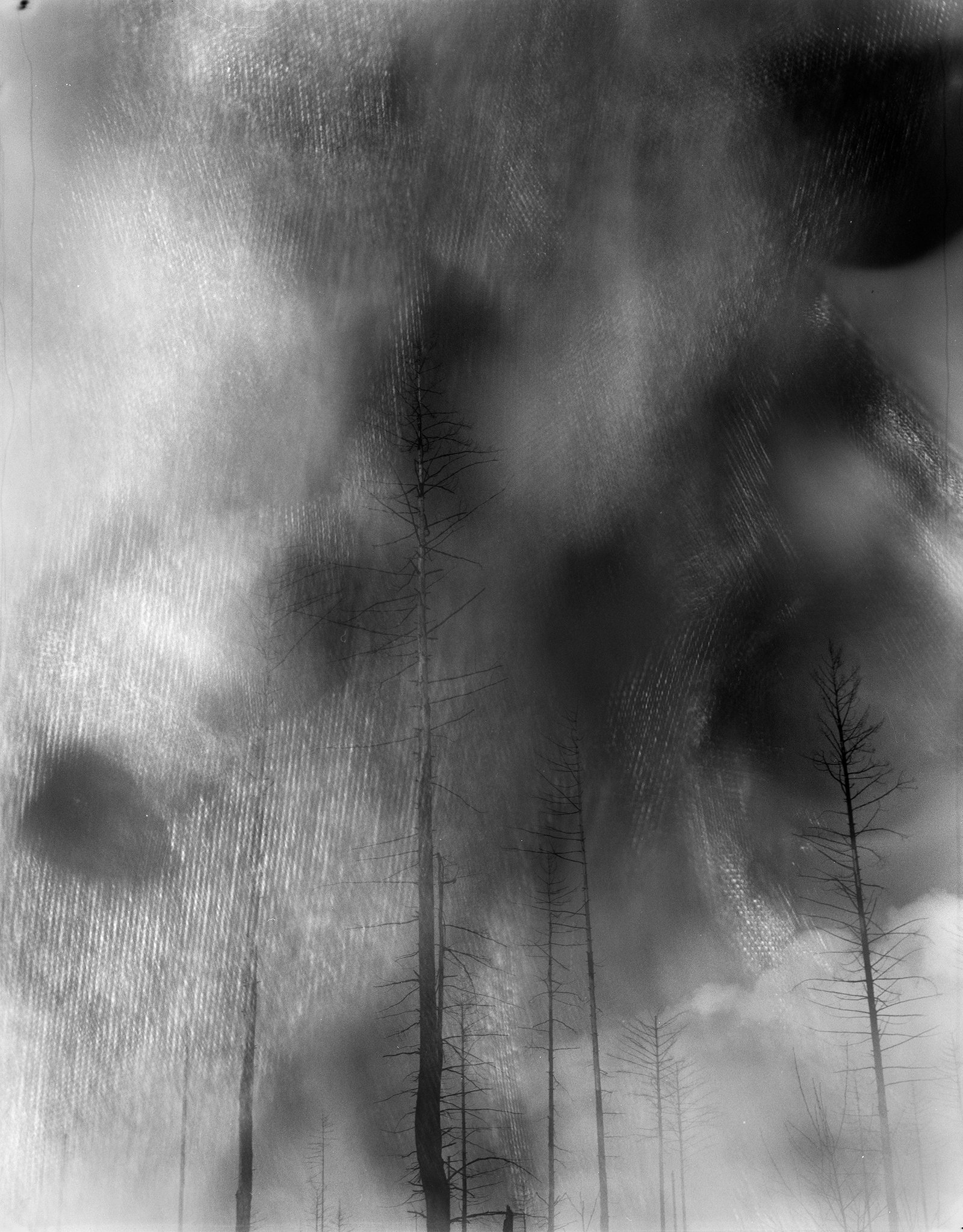 Nicolas Leroy | Tempête