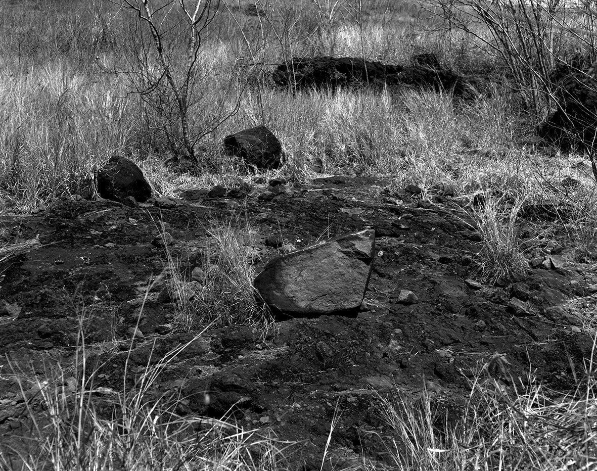 Nicolas Leroy | Roche