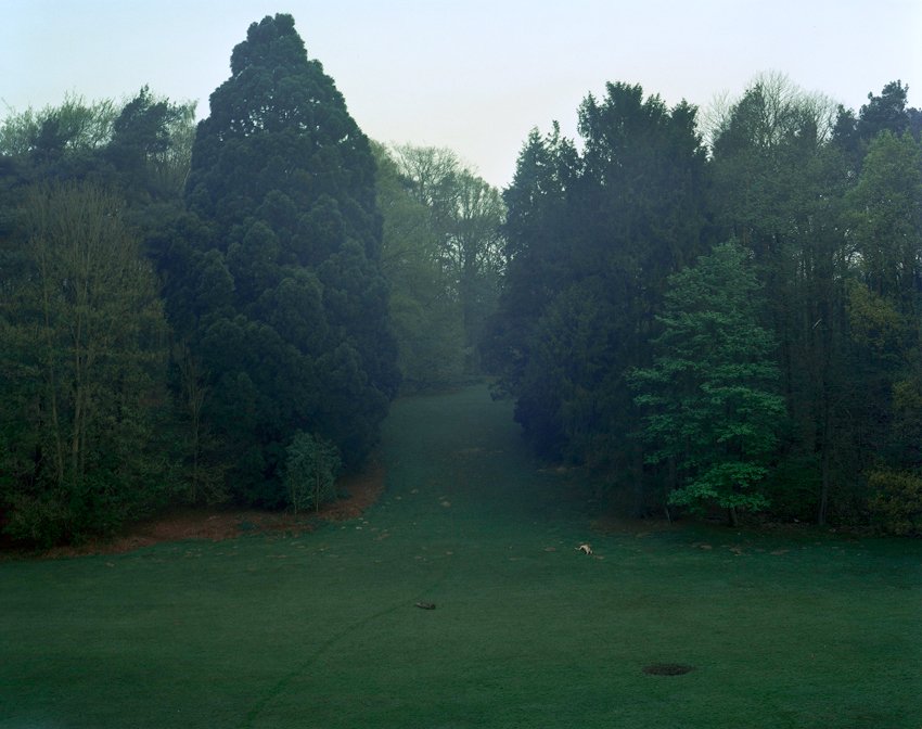 Nicolas Leroy | Woluwe