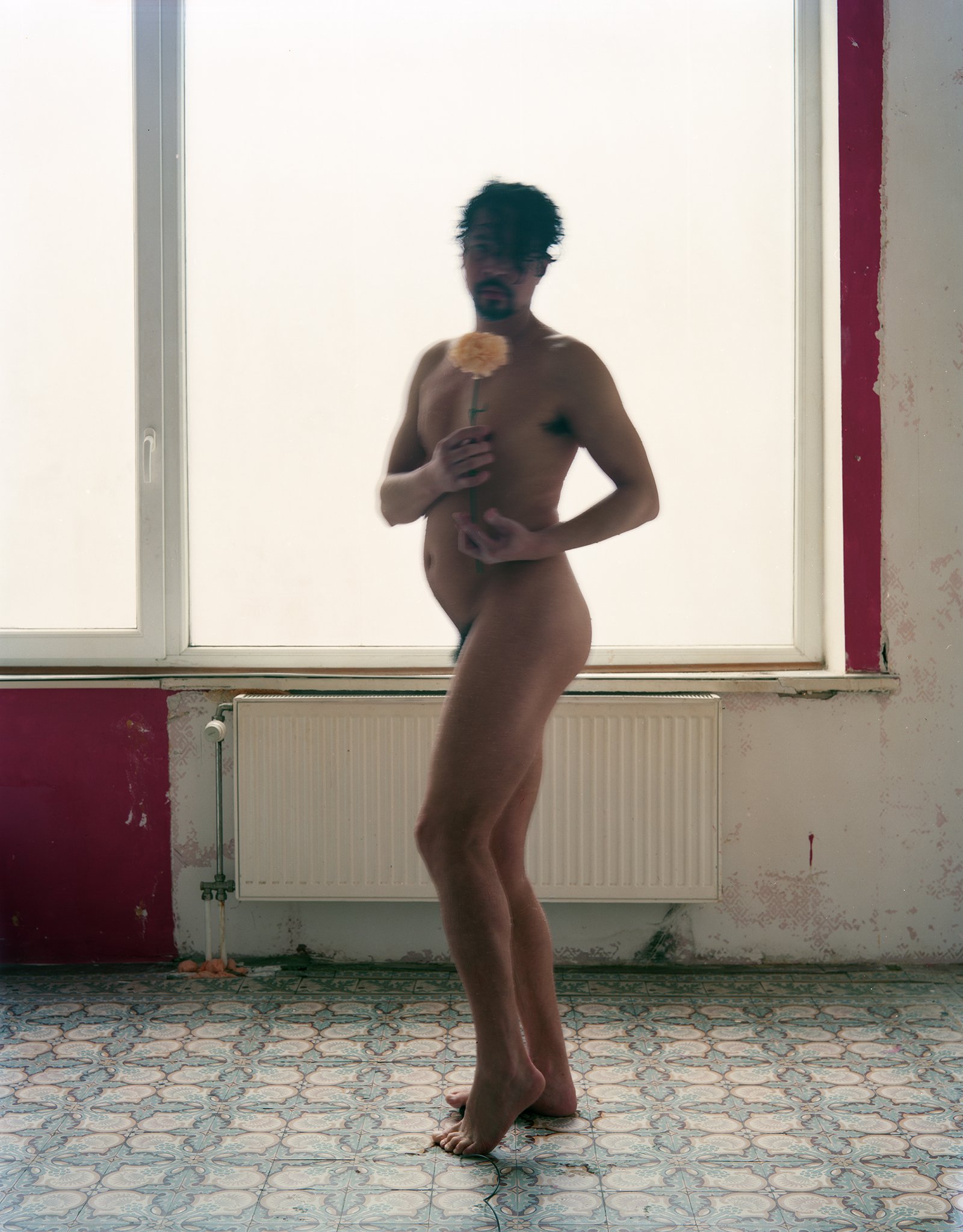 Nicolas Leroy | Autoportrait oeillet