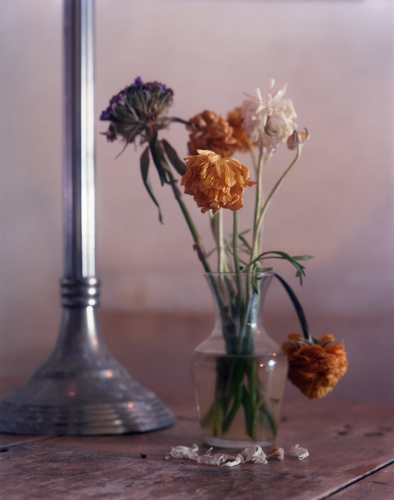 Nicolas Leroy | Candelstick and flowers