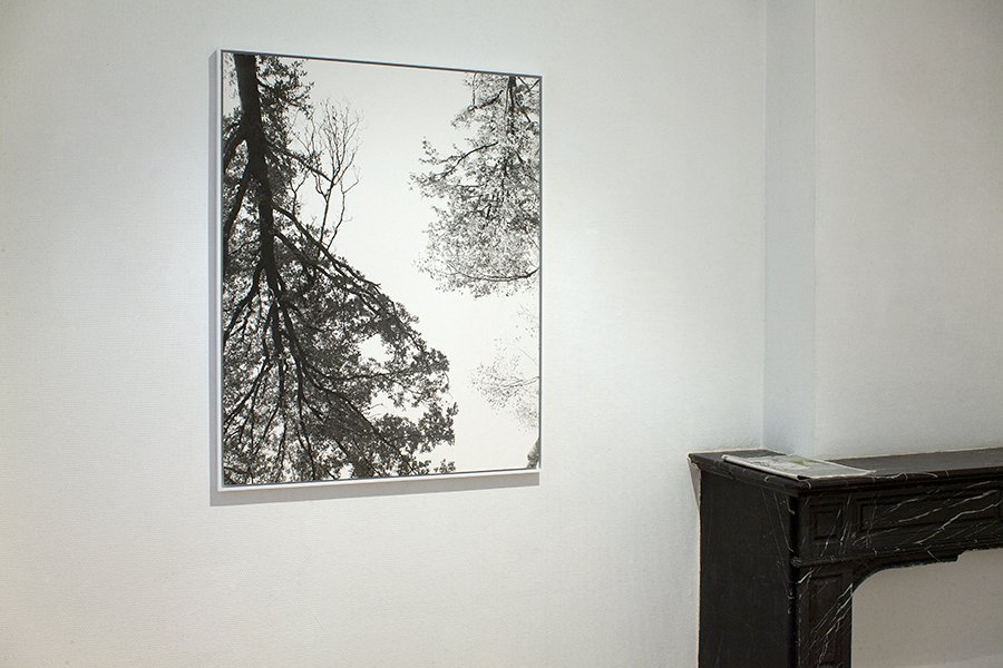 La part du feu, Bruxelles