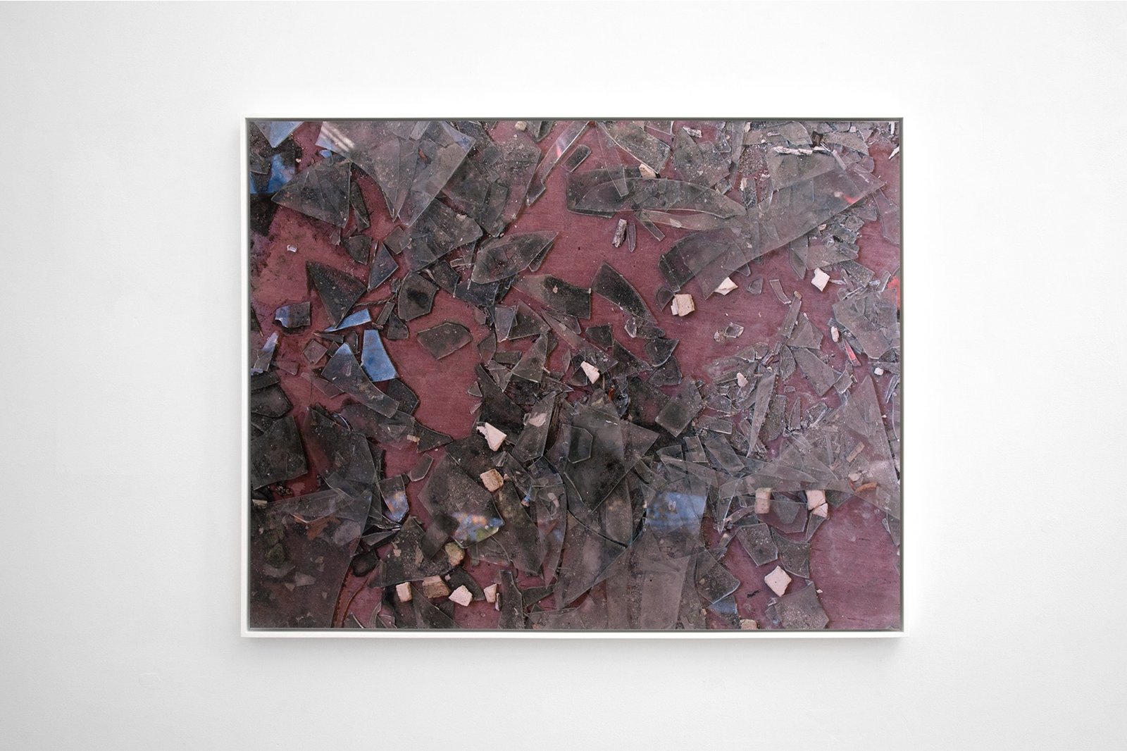 Contretype, Bruxelles